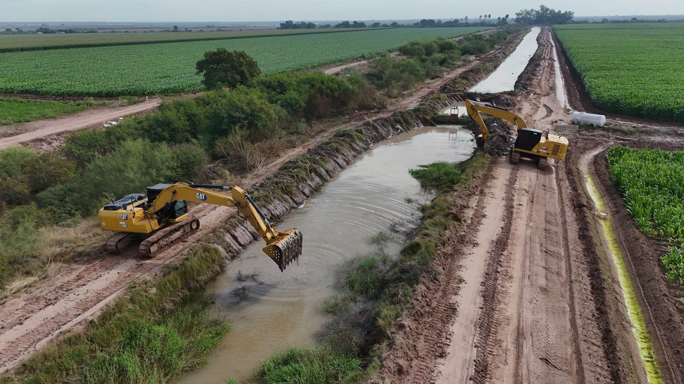 Excavadora sobre el bordo de un canal lateral rodeado por parcelas, 27 de enero de 2026.